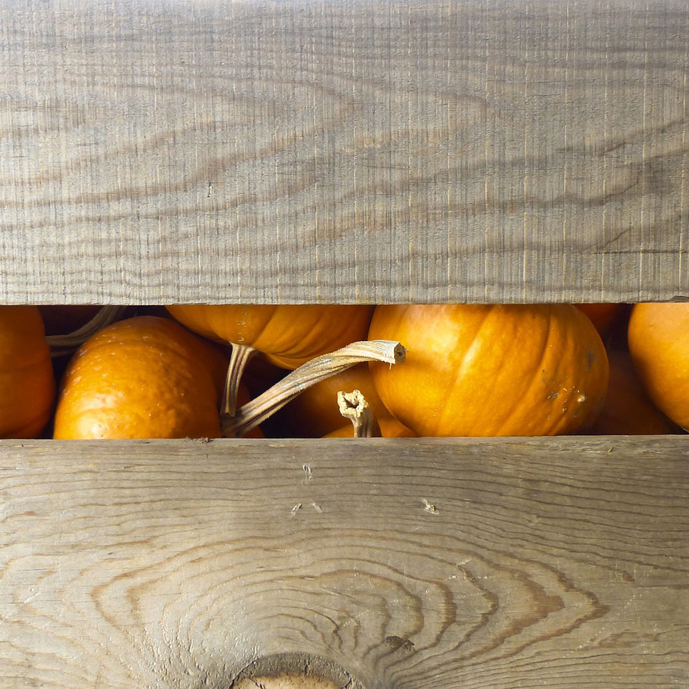 Aufbewahrung Holzkisten