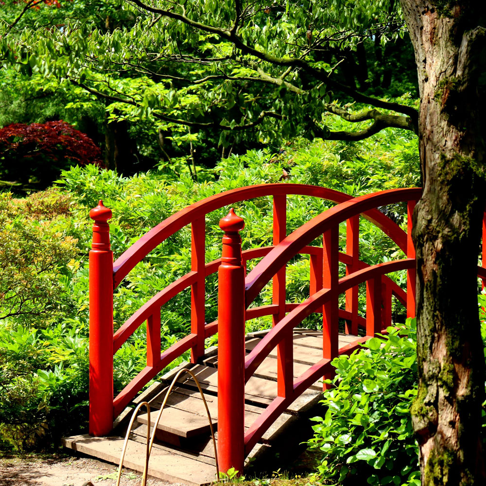 Konstruktionsholz_image5 Konstruktionsholz
