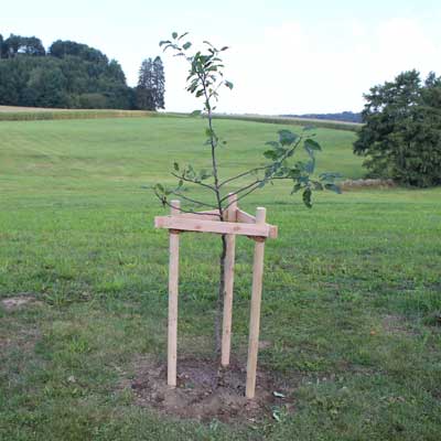 Pfosten für Zäune