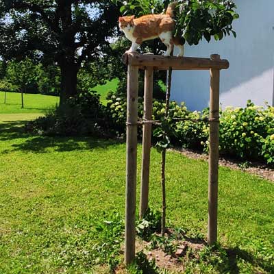 Pfosten für Zäune