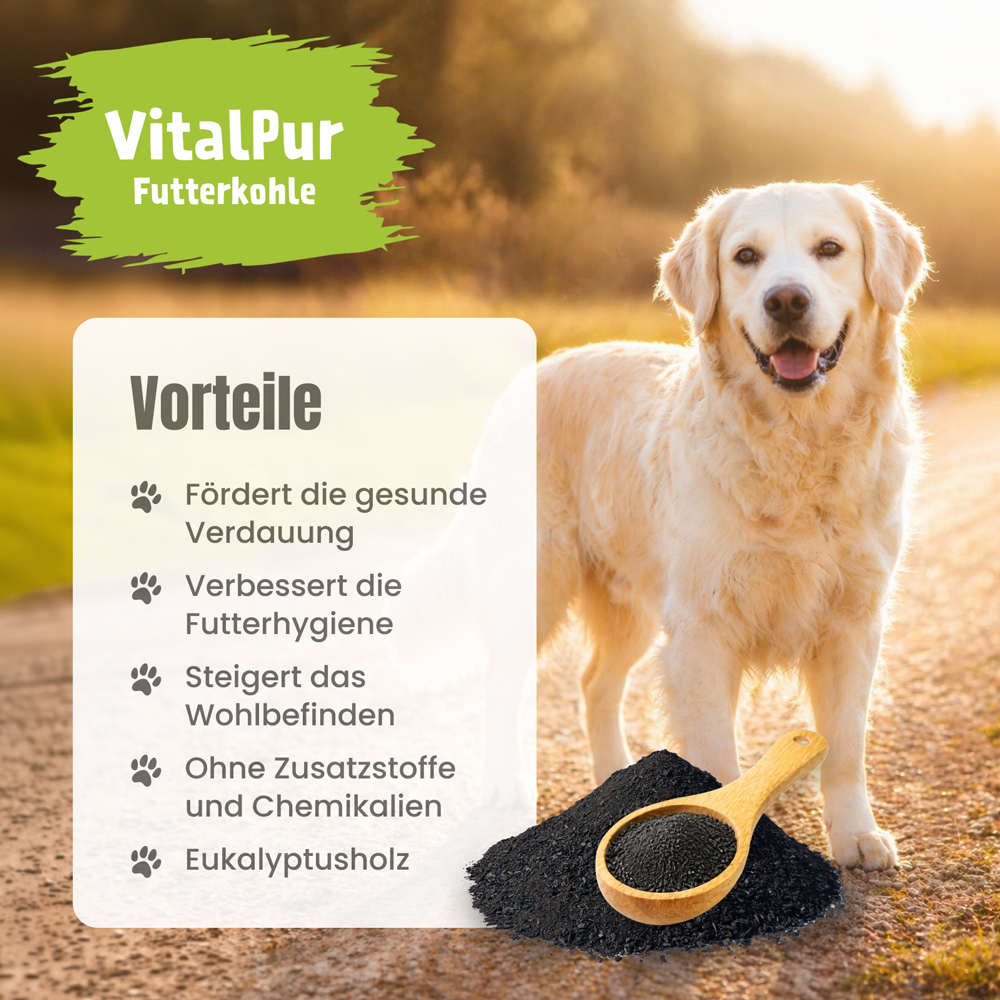 Futterkohle im Eimer von der Seite