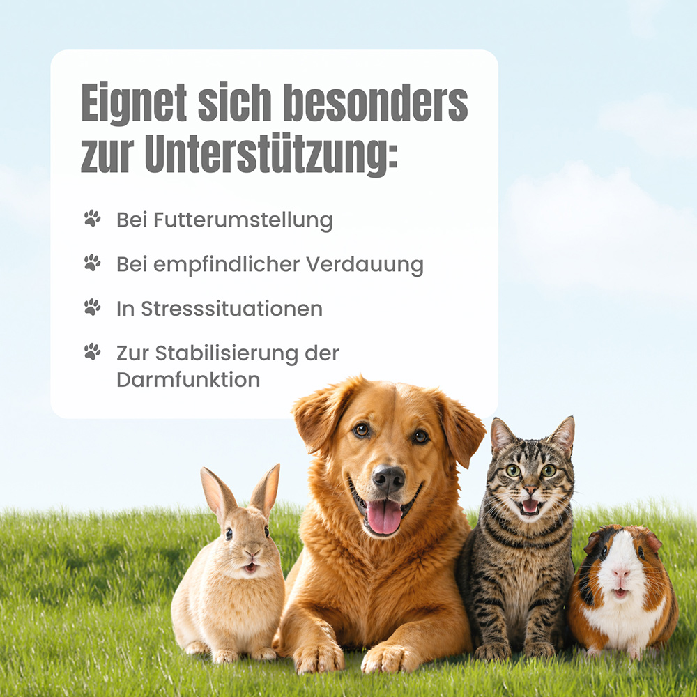 Futterkohle Eimer von oben